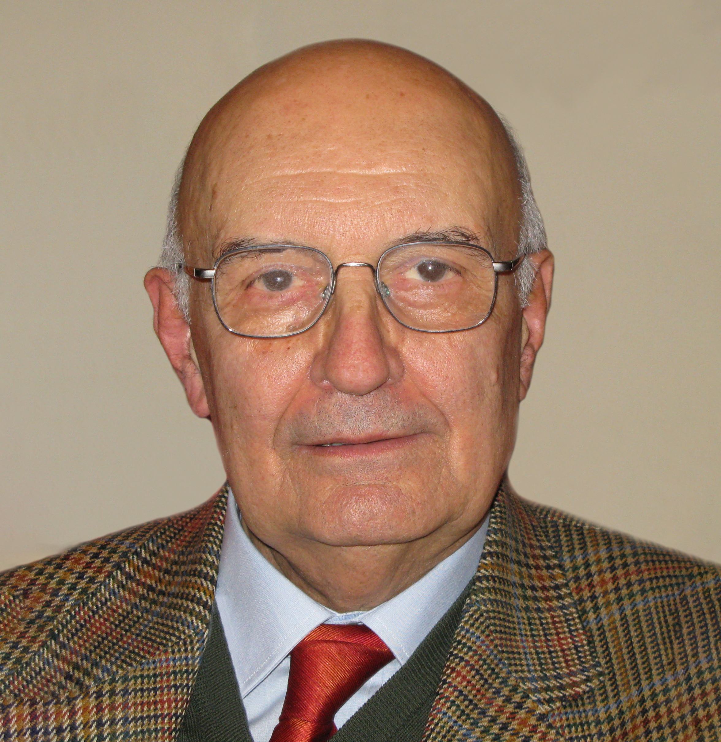 6907fc46-e837-4ae9-bc99-a8529c975d25_Zanasi-Raffaele-sk-255-2023-8