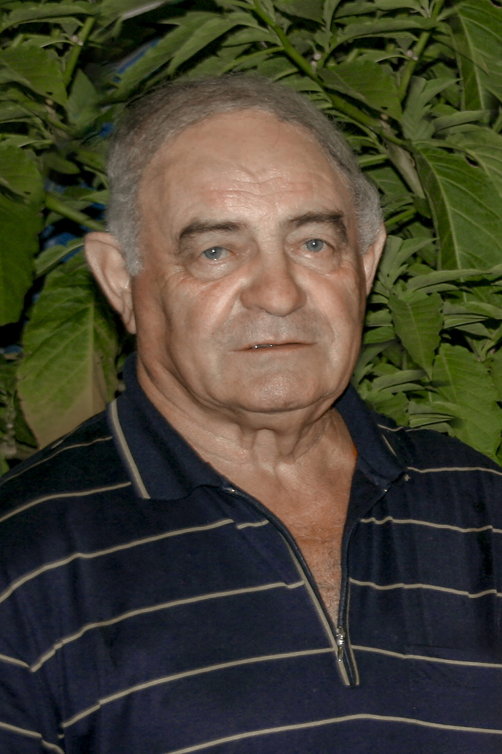 5b588667-d198-4abf-8678-033891fce53e_Davoli-Marco-sk-447-2023