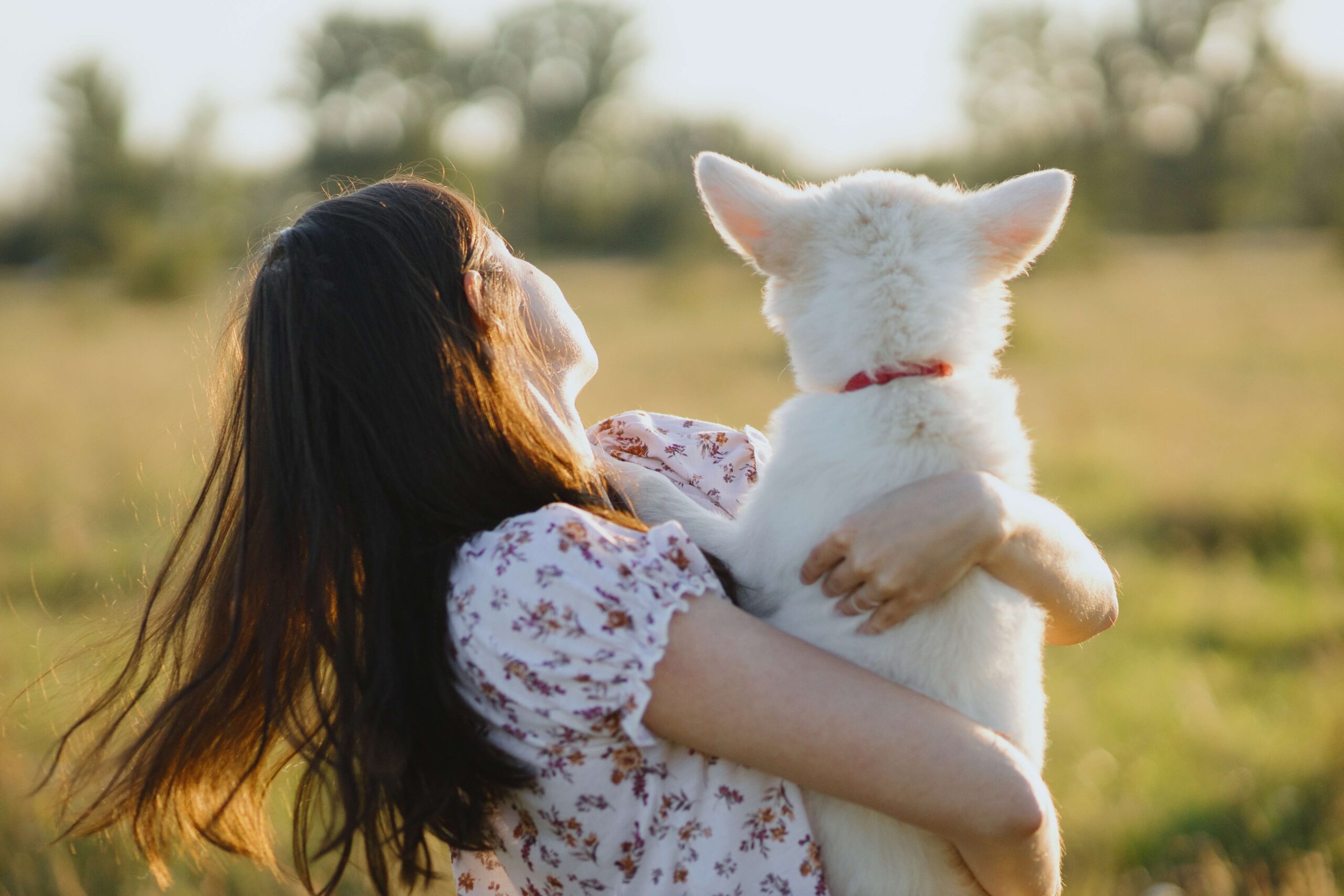 Cremazione animali: un amorevole addio al proprio fido amico Donna di spalle con in braccio il suo cane