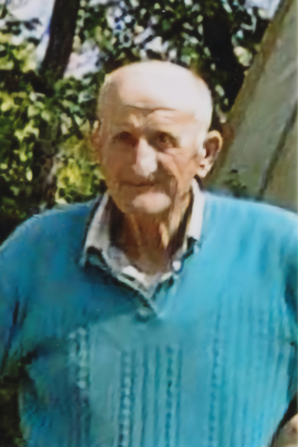 c87e7ce4-f5e3-4dc9-ba7d-2dc9f2874c4d_Bertolotti-Carlo-sk-1463-2025-519