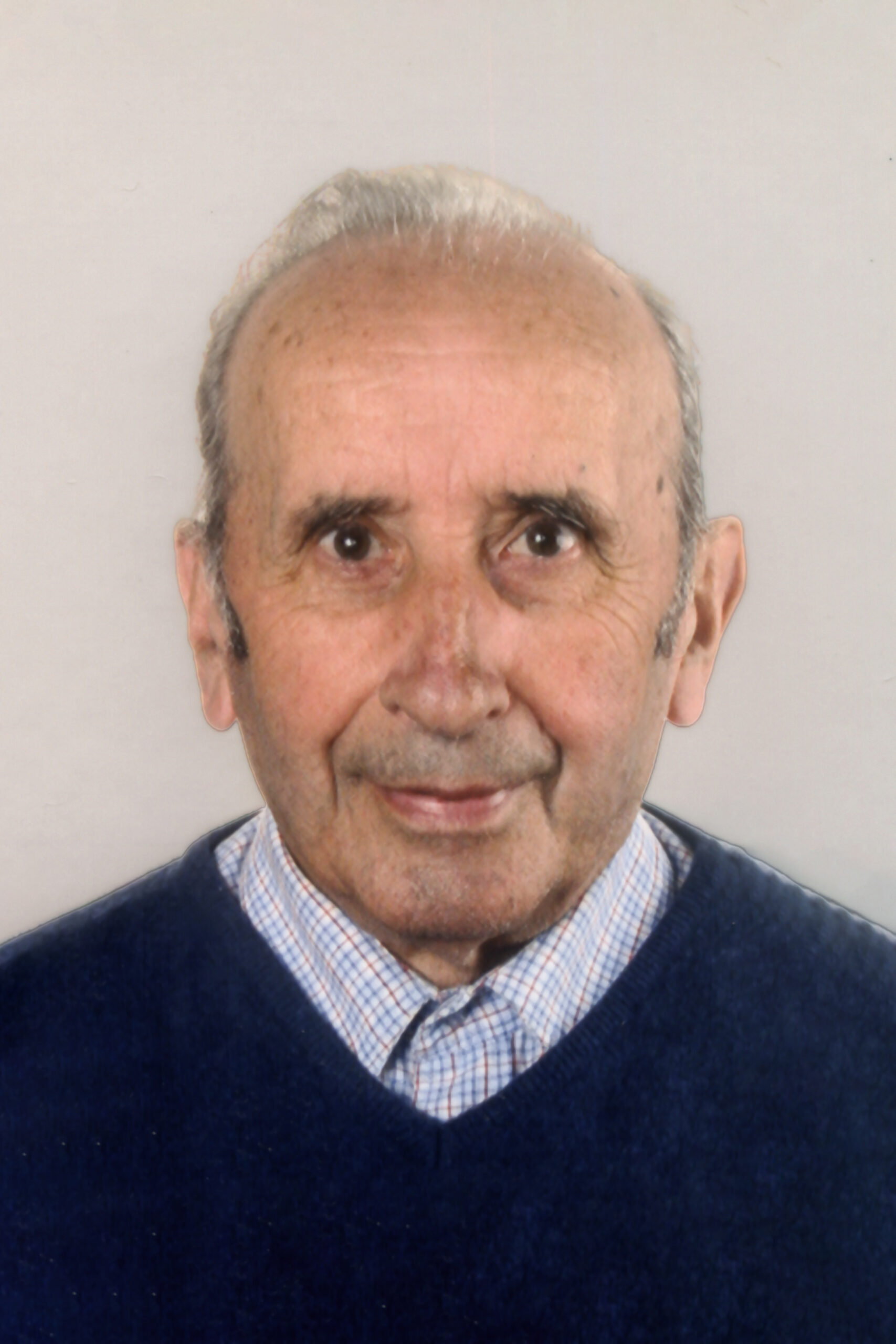 a954a40e-7143-443a-82ef-1c7a0a3ae6de_Pellicci-Ilio-SK-1151-26085